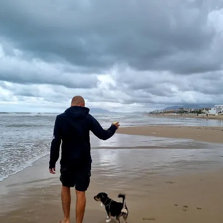 Апартаменты Hello Alter *